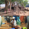 পাটাবিঁদৗ ( শিলদৗ পাতা )