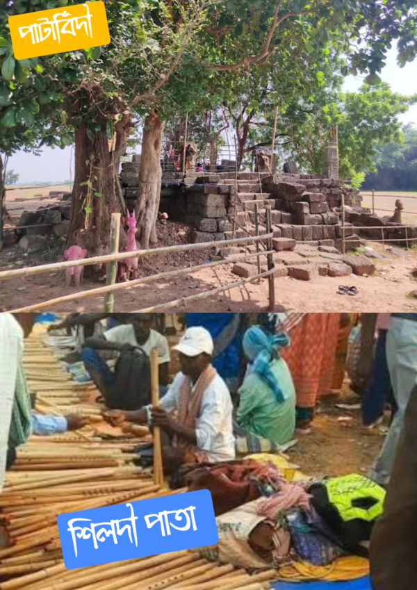 পাটাবিঁদৗ ( শিলদৗ পাতা )
